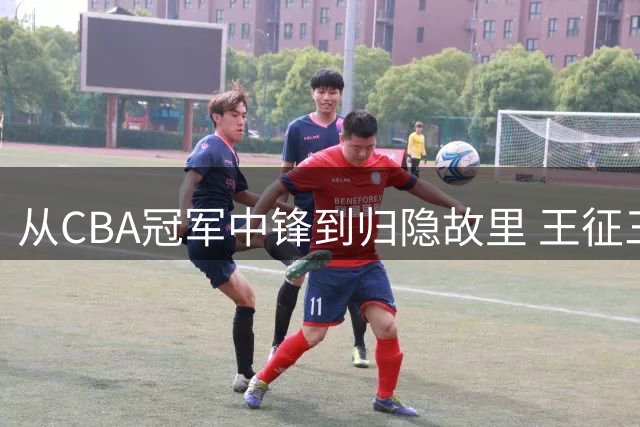 从CBA冠军中锋到归隐故里 王征三十岁急流勇退的人生抉择
